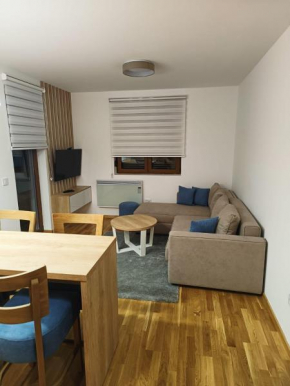 Rosa Lux 25